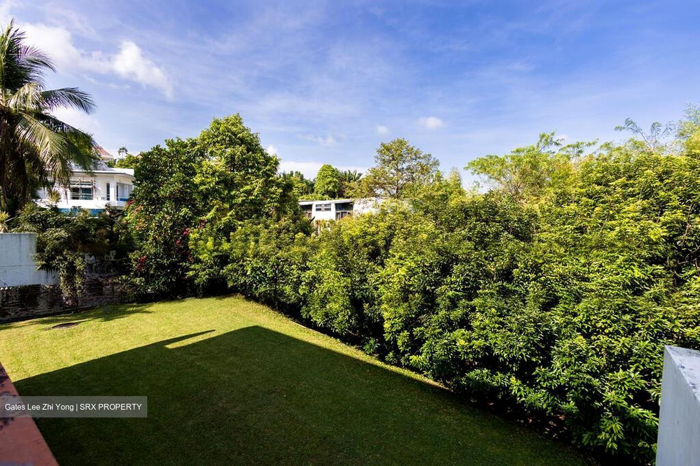 White House Park (D10), Detached #520054221